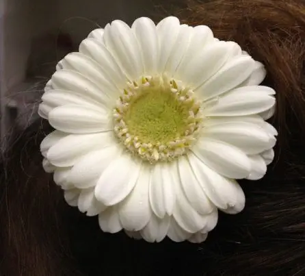Cream Germini Hair Slide