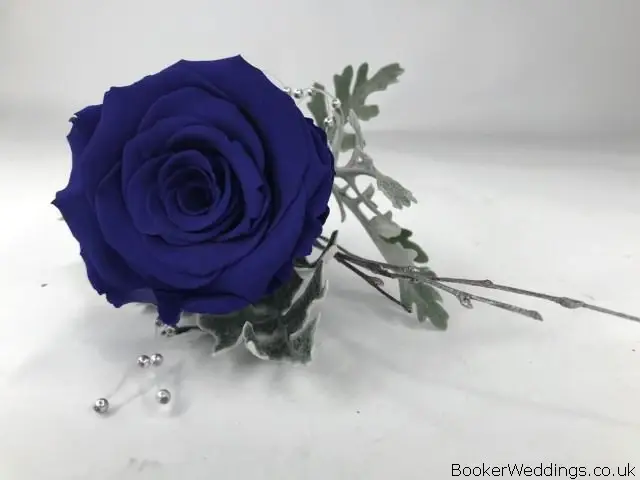 Blue Rose and Silver Foliage Groom Buttonhole