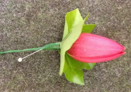 Red Tulip Buttonhole - Meaning of Flowers