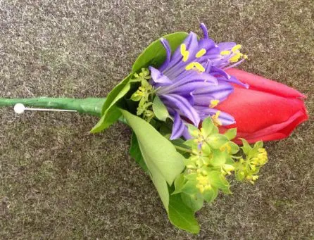Red Tulip and Blue Agapanthus Buttonhole - Meaning of Flowers