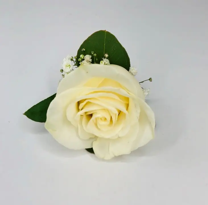 Classic White Rose Buttonhole with Eucalyptus and Gyp