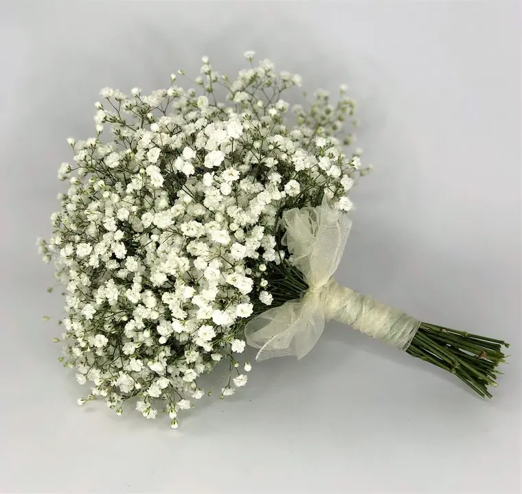 Gypsophila Gypsy Grass Handtied with White Organza Ribbon