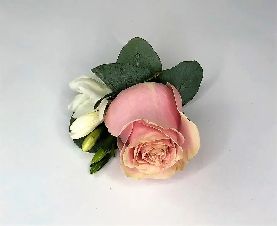 Pink Rose and Scented Freesia Buttonhole