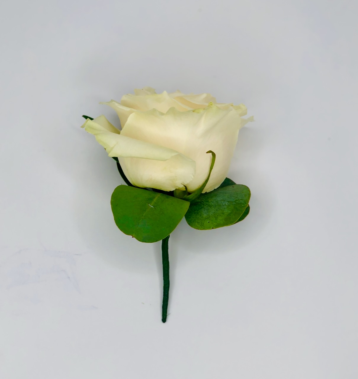 Simple White Rose Buttonhole