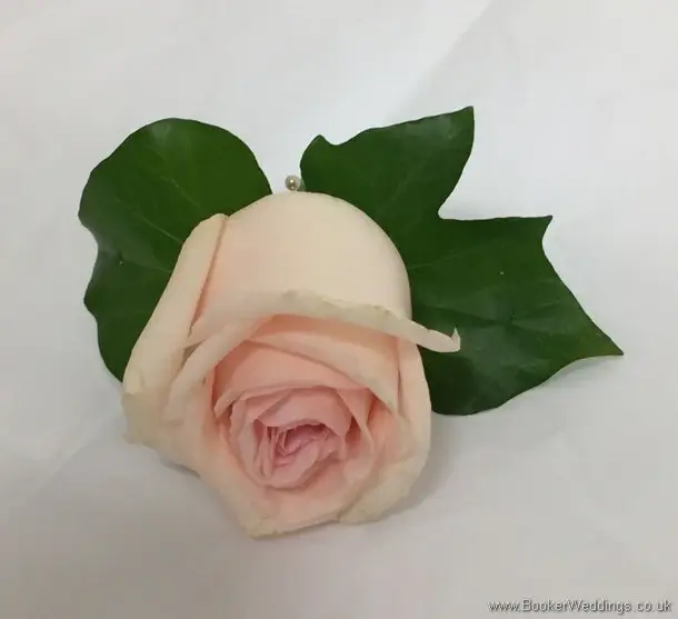 Blush pink Rose Buttonhole