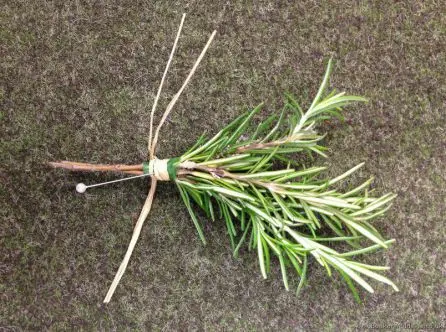 Rosemary Buttonholes