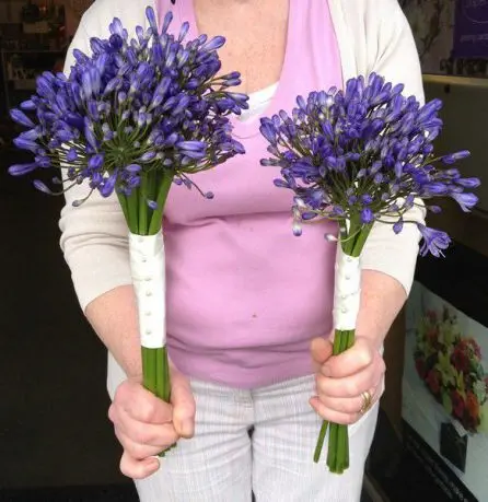 Agapanthus Bridesmaid Bouquets