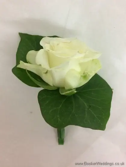 Cream rose buttonhole