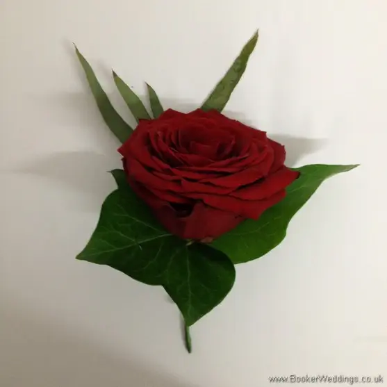 Red Rose Buttonhole
