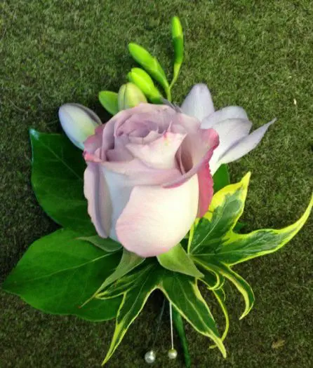 Lilac Rose and Freesia Grooms Buttonhole