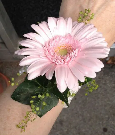 Pink Gerbera Wrist Corsage