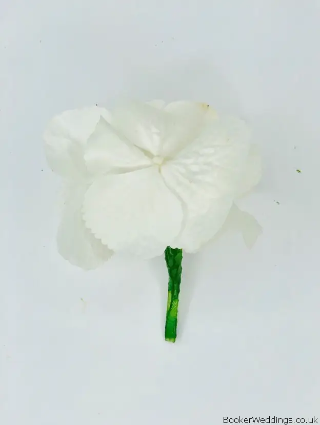 Hydrangea Buttonhole for Page Boy