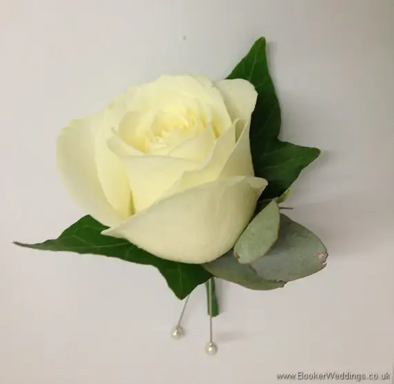 Cream Rose Buttonhole