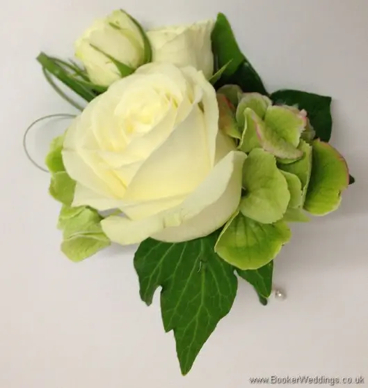 Cream Rose and Green Hydrangea Grooms Buttonhole