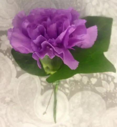 Purple carnation Buttonhole