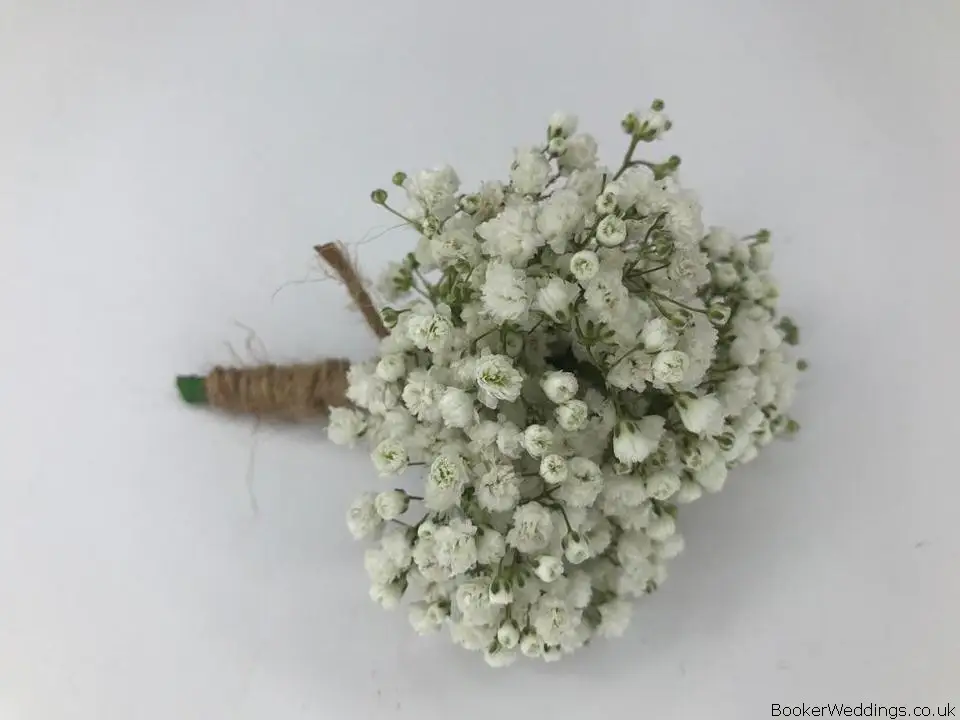 Gypsophila Rustic Buttonhole