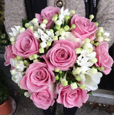Dusky Pink Rose and Bouvardia Brids Bouquet