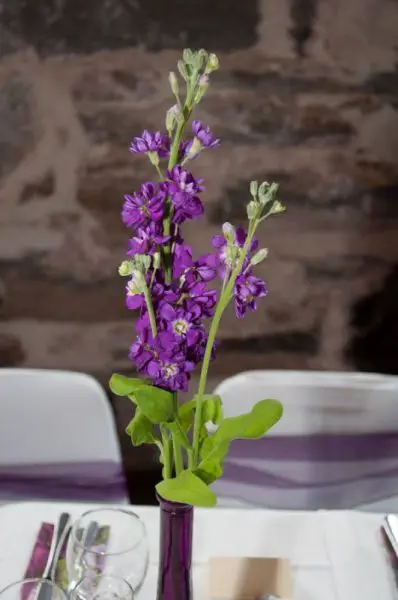 Purple Stem Vase Table Arrangement