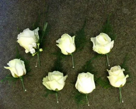 Cream Rose Buttonholes