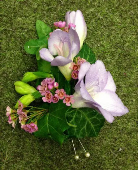 Freesia and Wax Flower Corsage