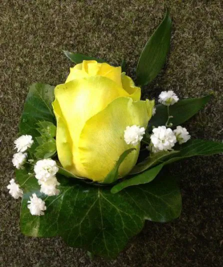 Yellow Rose and Gyp Grooms Buttonhole