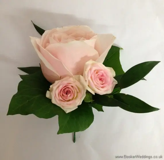 Soft pink rose and spray rose gromms buttonhole