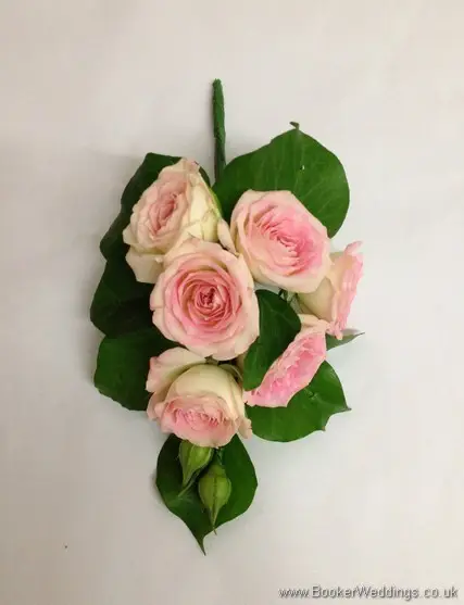 Soft pink spray rose pin corsage