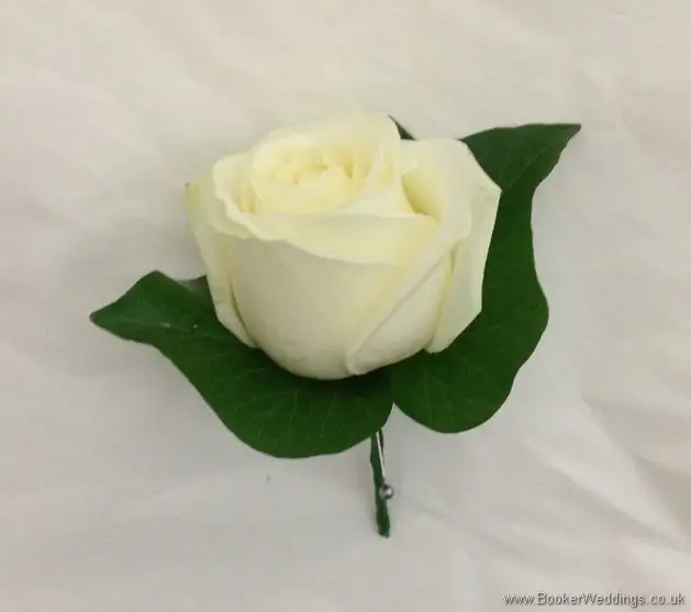 Cream Rose Buttonhole