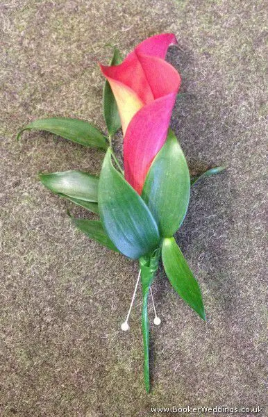 Calla Lily Buttonhole