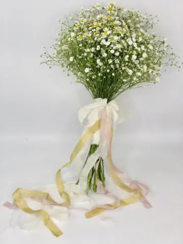 Wildflower Bridal Bouquet Gypsophila and Daisy