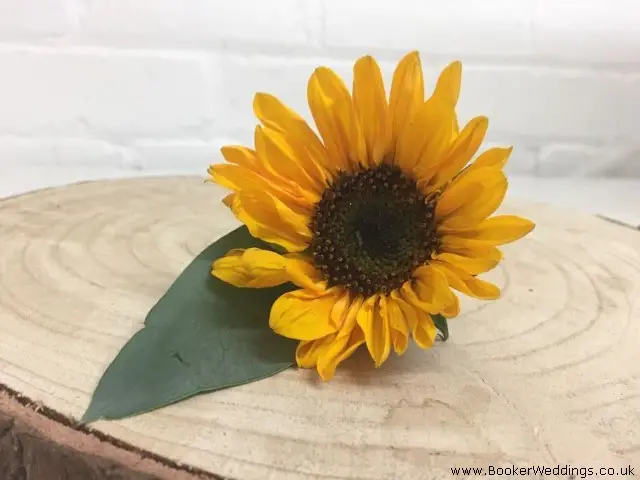 Sunflower Buttonhole for Wedding Guests