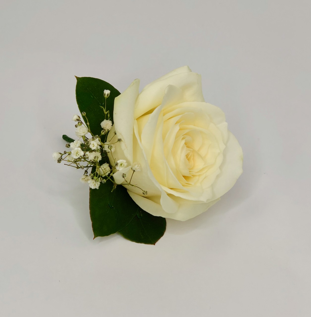 Simple White Rose and Gypsophila Buttonhole