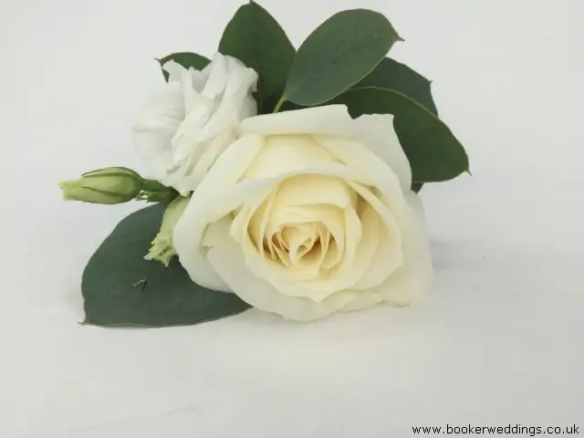 Groom Avalanche Rose and Lisianthus Buttonhole