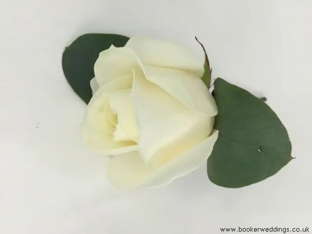 White Rose Buttonhole for Groomsmen
