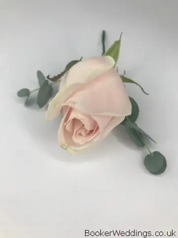 Pink Rose Buttonhole