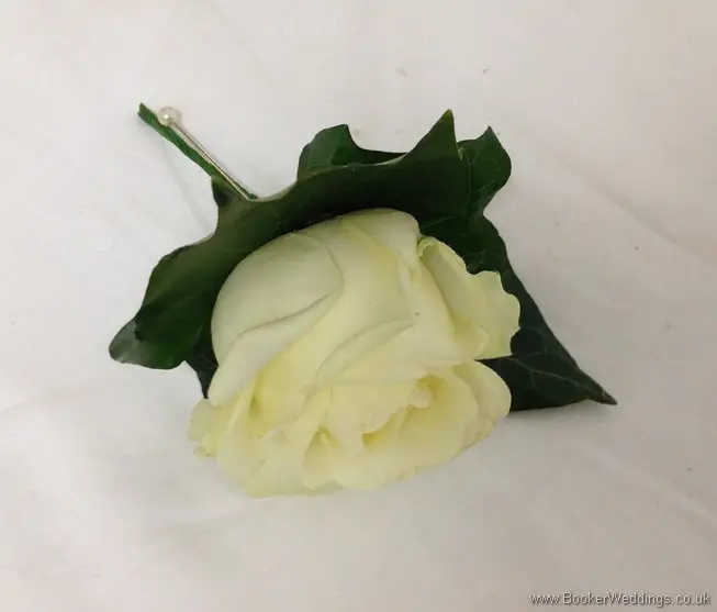 Cream Rose Buttonhole