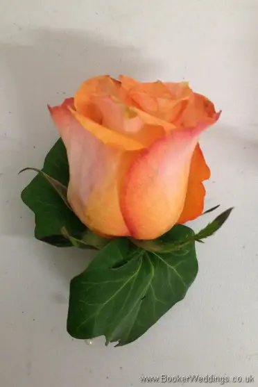 Orange Rose Buttonhole
