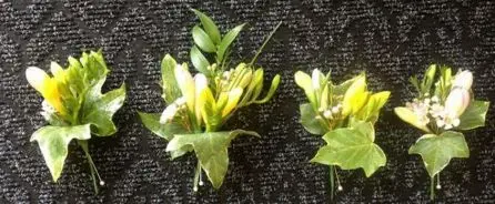 Freesia Buttonholes