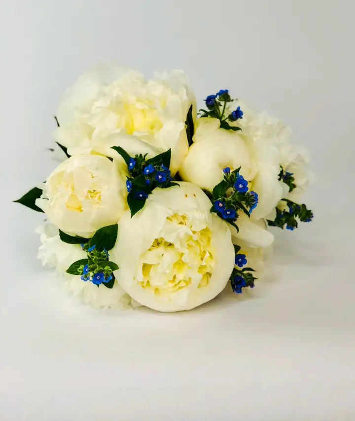 Bride Peony and Forget-me-Not Handtied Bouquet
