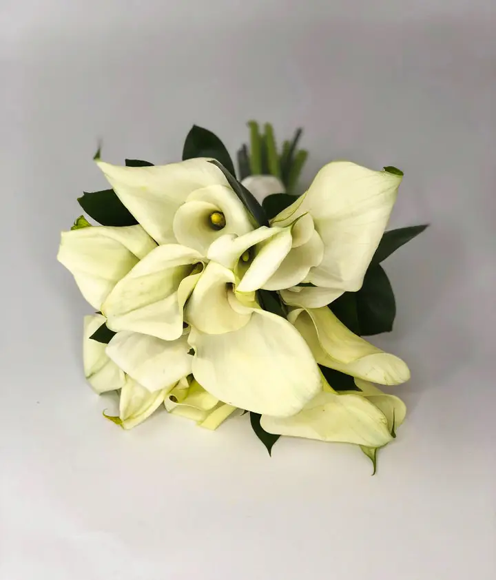 White Calla Lilies Bride Bouquet