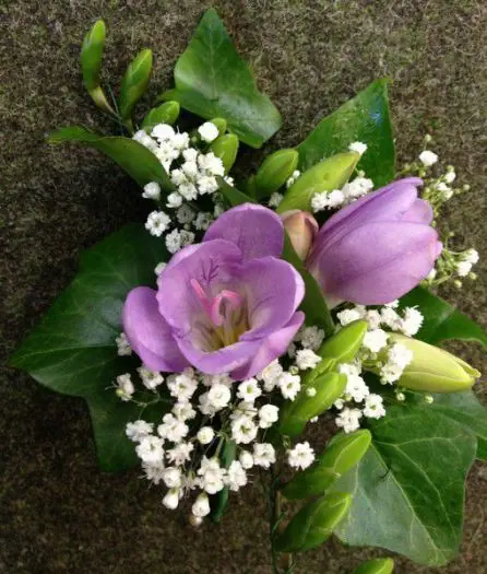 Lilac Freesia and Gypsophilia Corssage