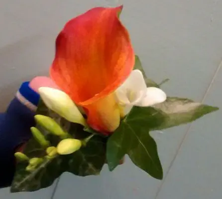 Mango Calla Lilly and White Freesia