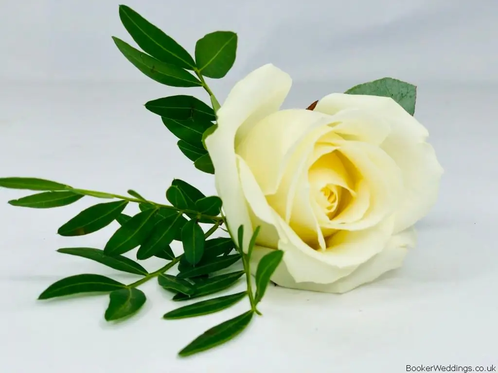White Rose Buttonhole for Wedding Guests