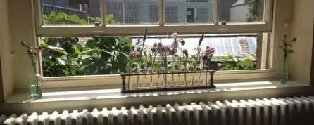 Chemistry Set Wedding Window Decoration