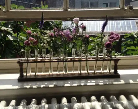 Cemistry Set Wedding Window decoration 2