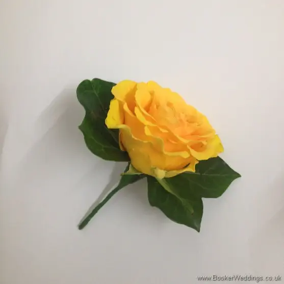 Autumnal Colours Wedding Flowers - Gold Rose Buttonhole