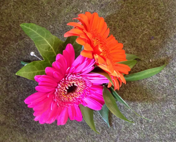 Pink and Orange Gerbera Grooms Buttonhole