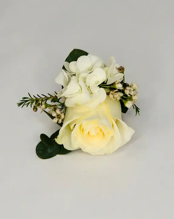 White Rose Boutonniere with Hydrangea and Waxflower