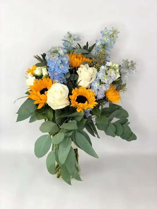 Yellow / Blue