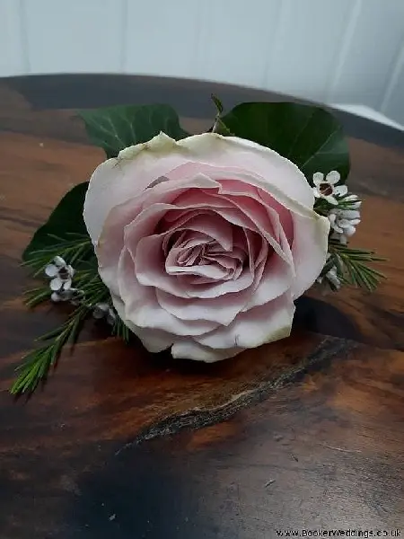 Pale Pink Rose Buttonhole for Rustic Wedding